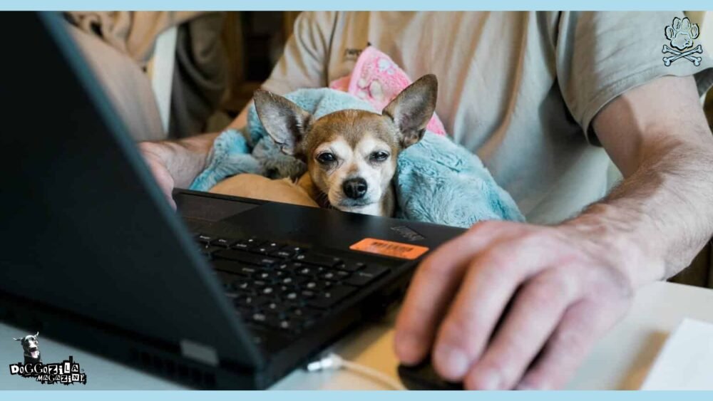 Picture of Dog Routine for Remote Work: Balancing Paws and Productivity • Doggozila