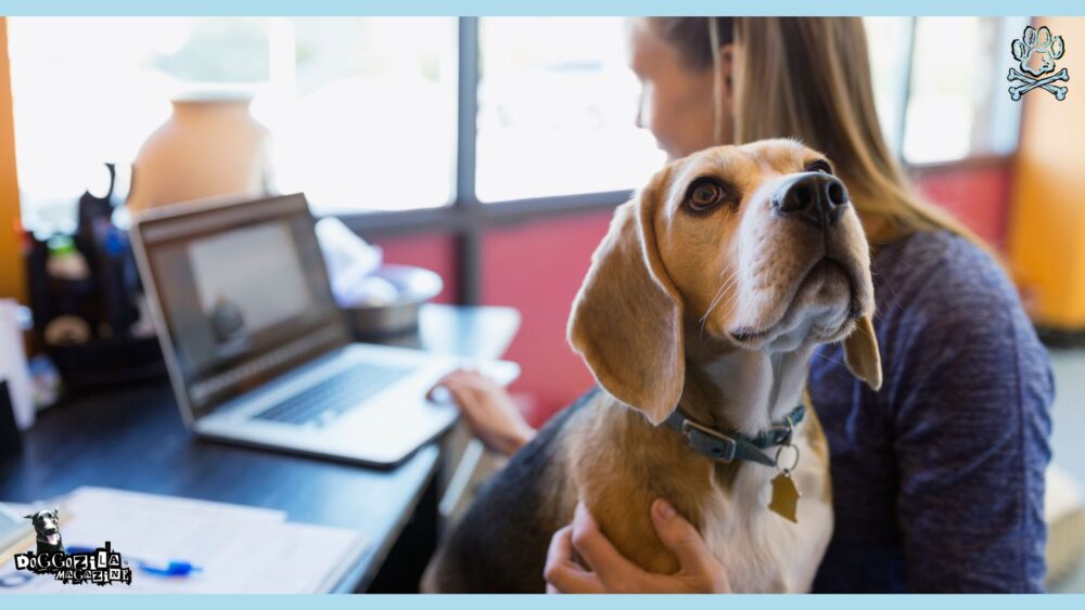Dog Routine for Remote Work: Balancing Paws and Productivity • Doggozila