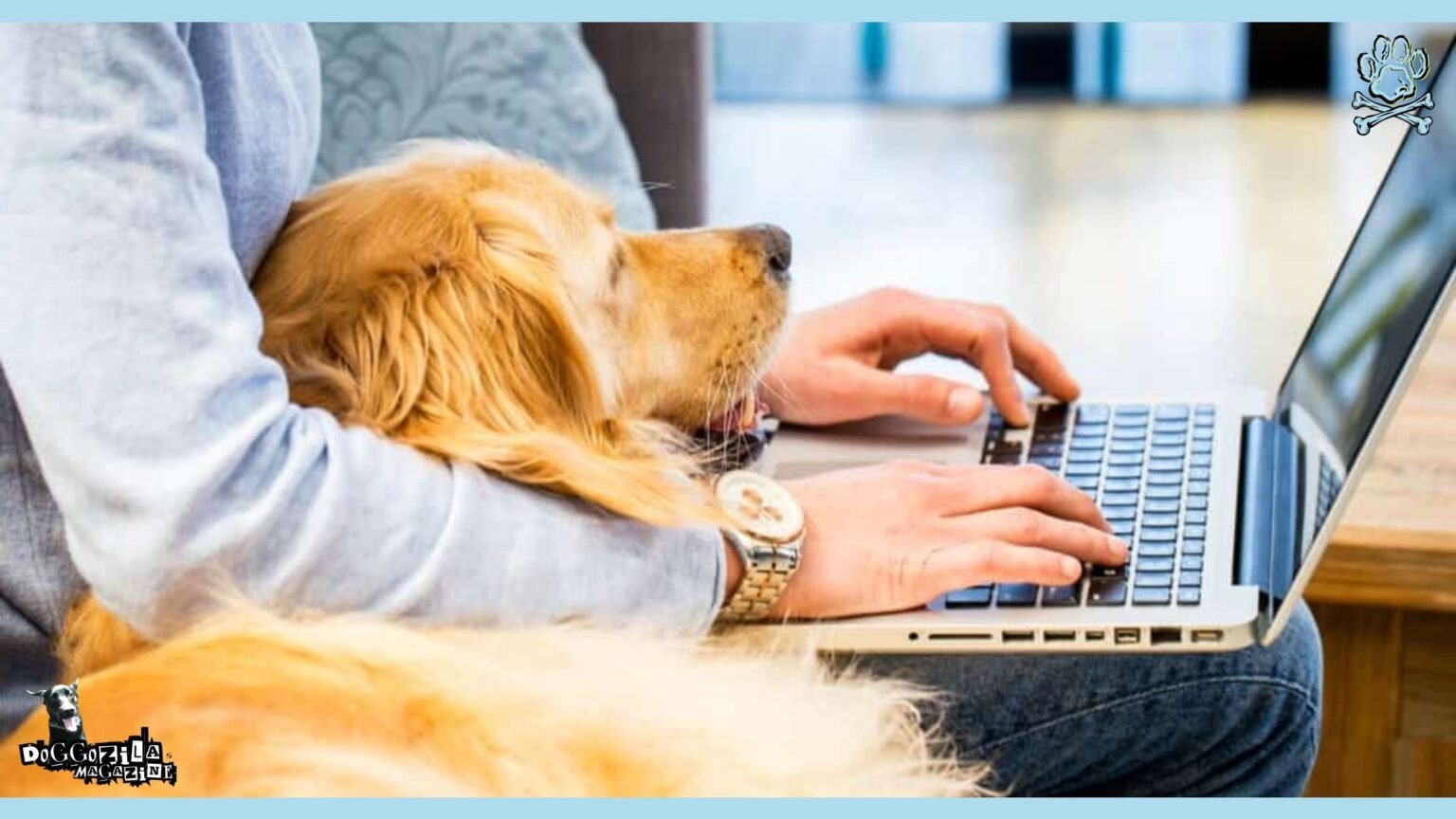 Picture of Dog Routine for Remote Work: Balancing Paws and Productivity • Doggozila