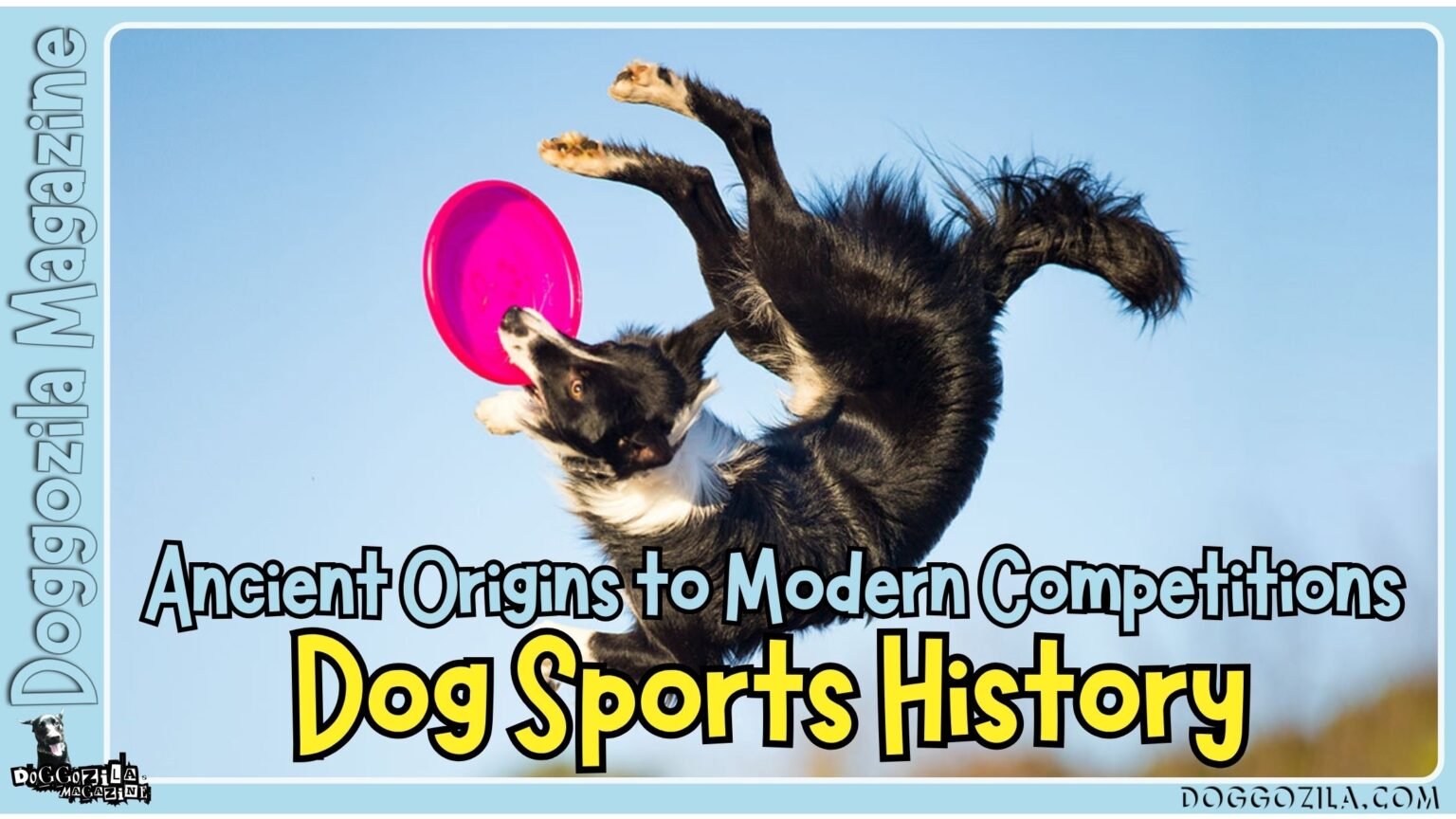 Dog Sports History from ancient origins to modern competitions