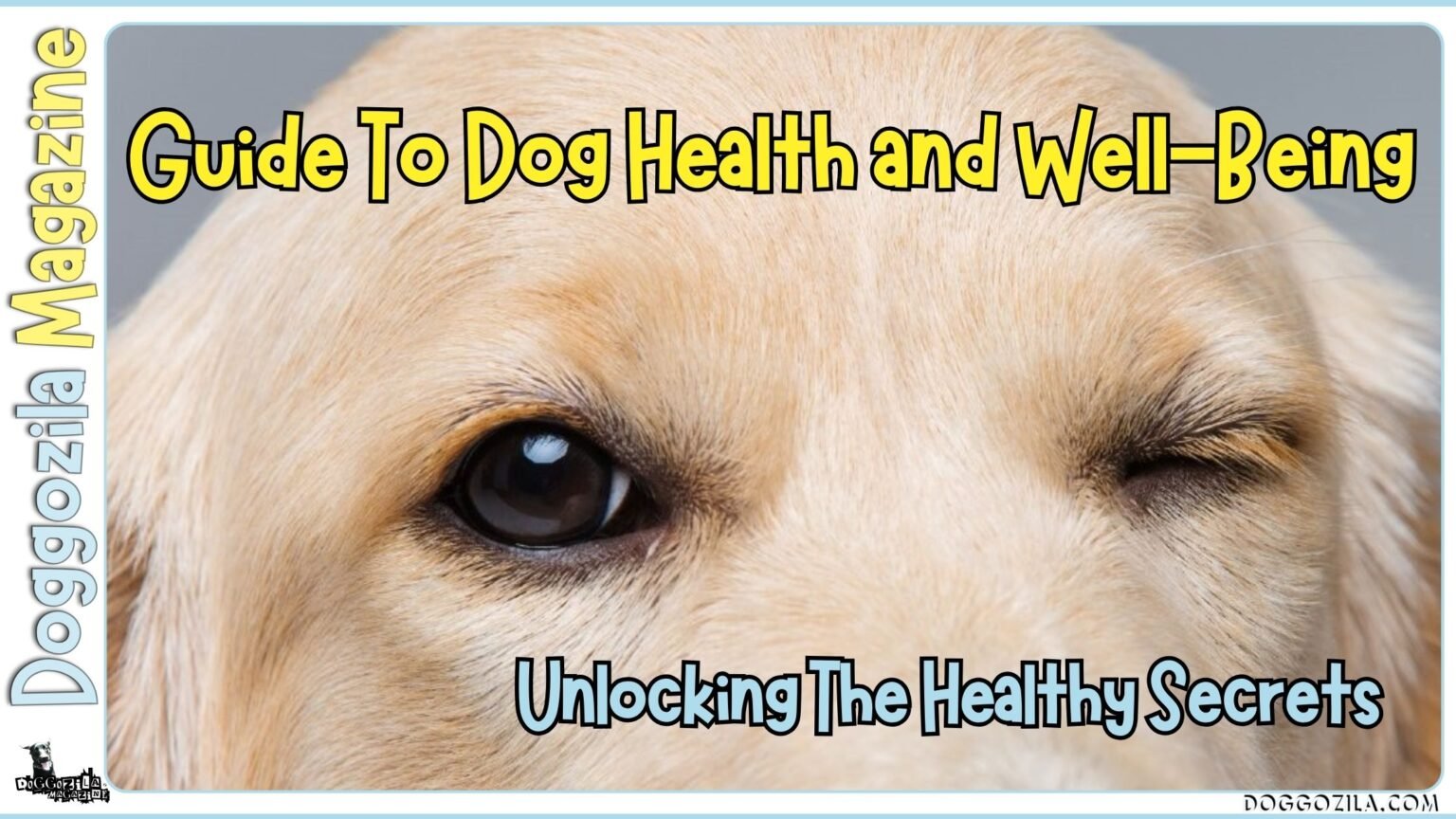 Guide To Dog Health and Well-Being