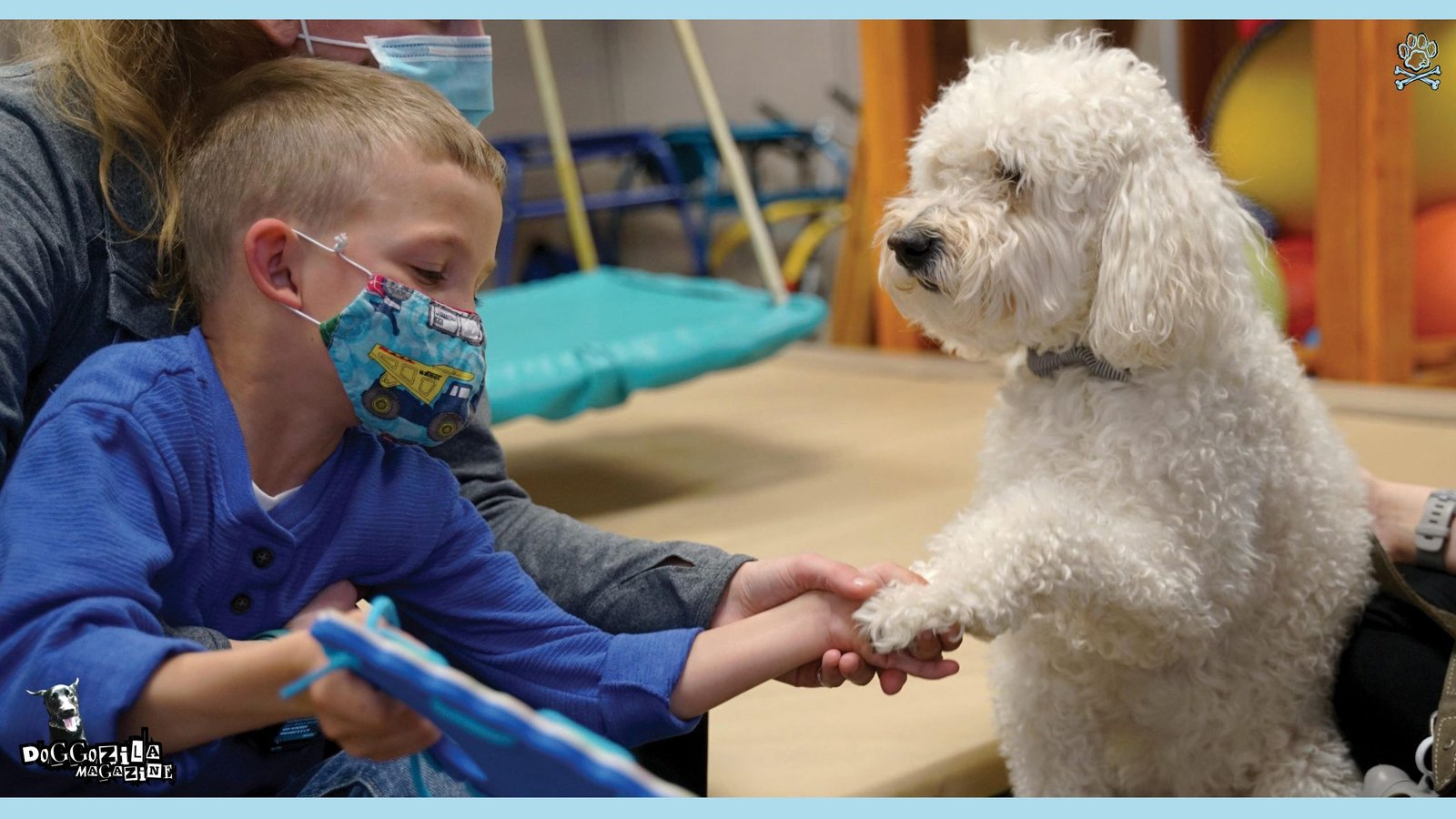 Therapy Dogs