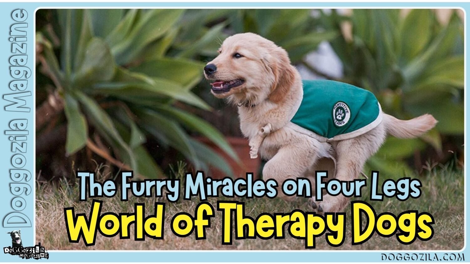 Therapy Dogs