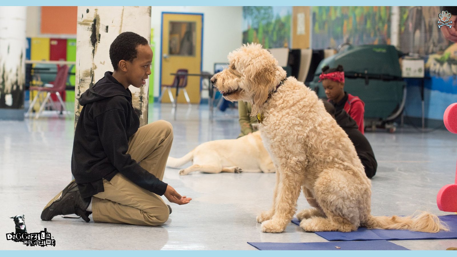 Therapy Dogs