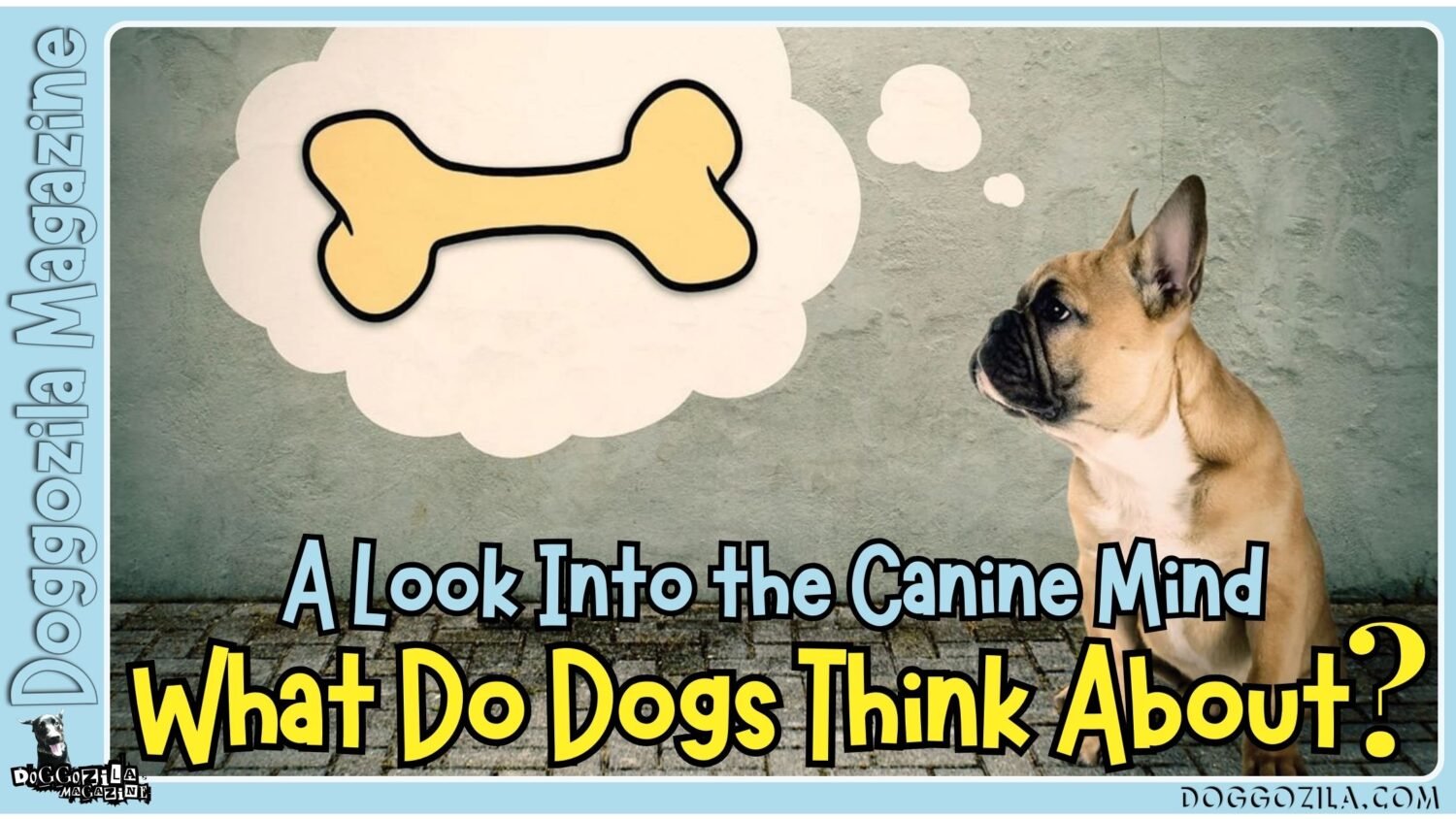 What Do Dogs Think About