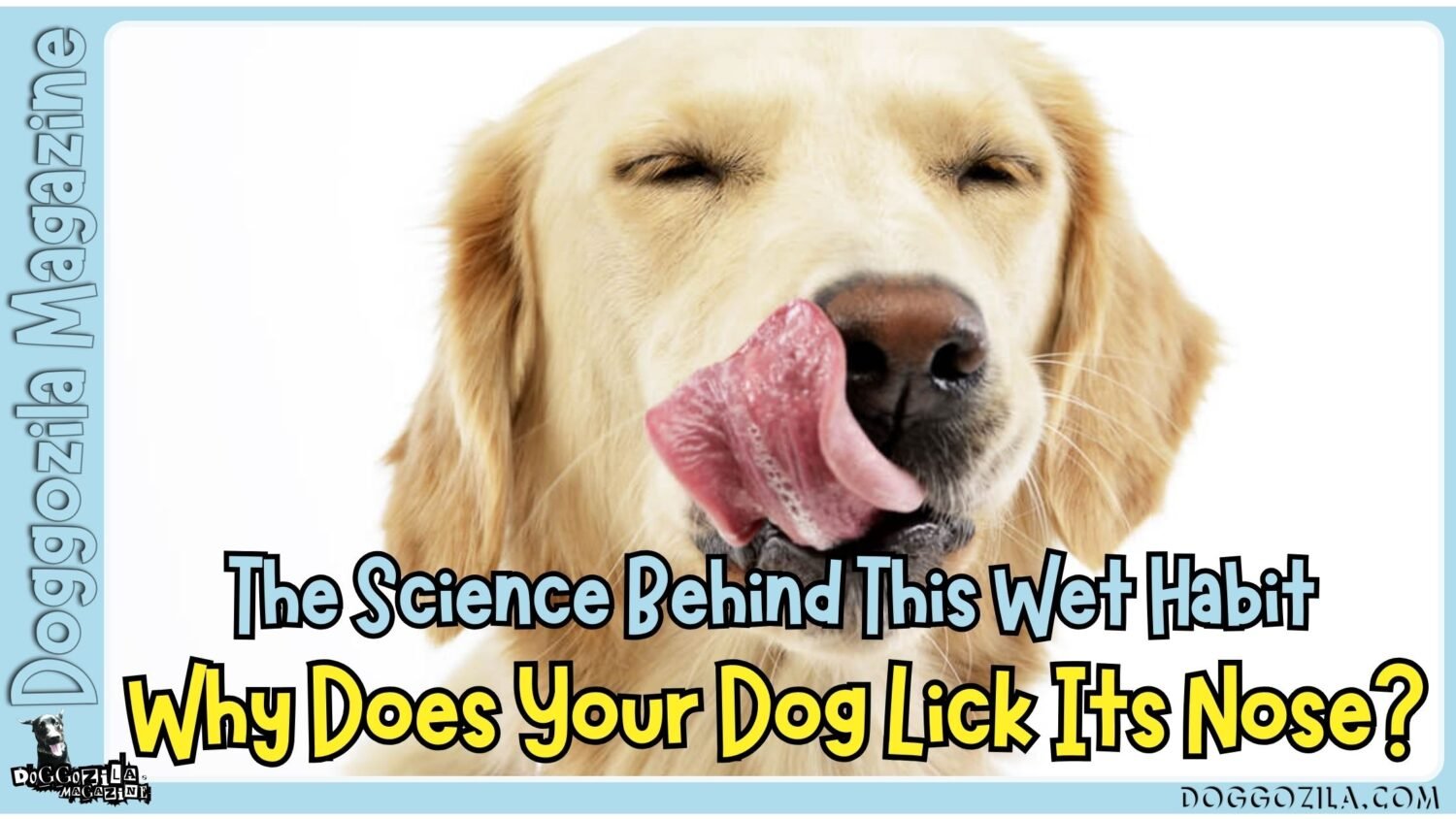 Why Does Your Dog Lick Its Nose