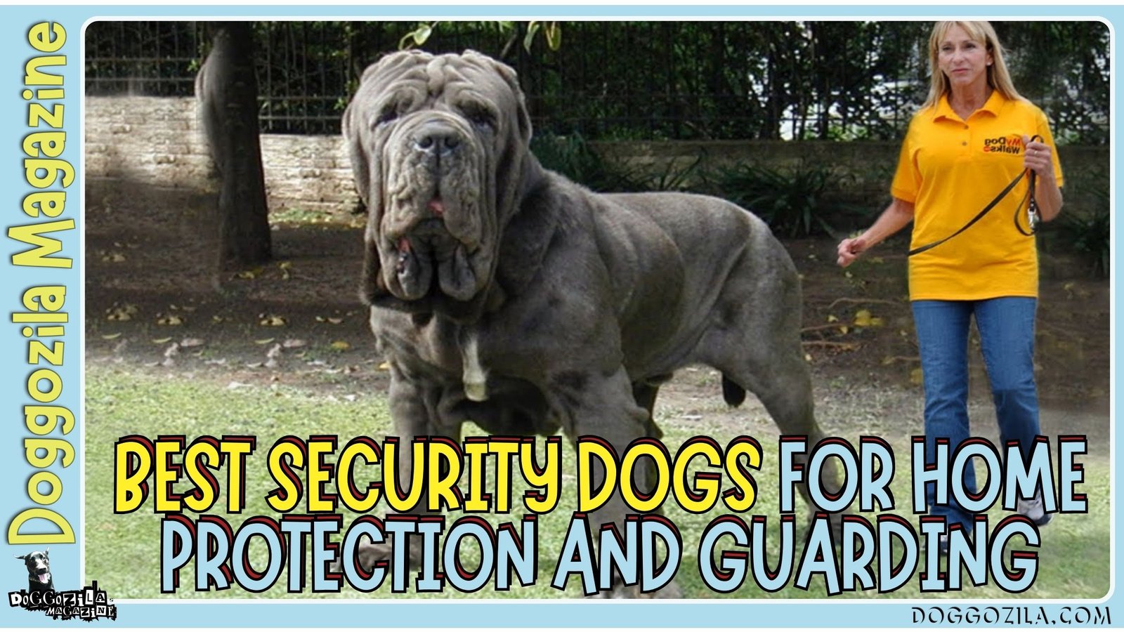Best Security Dogs for Home Protection and Guarding