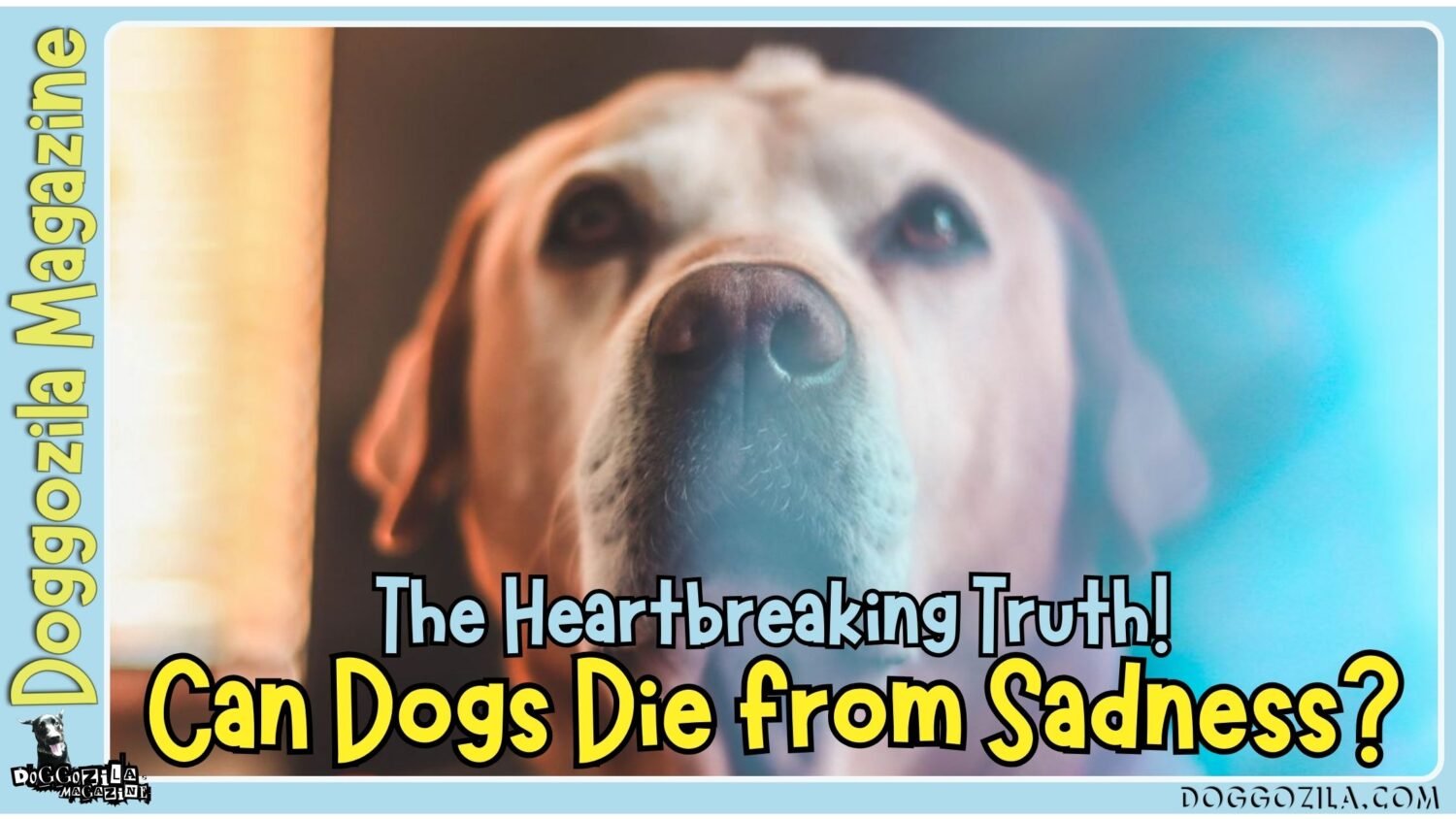 Can Dogs Die from Sadness