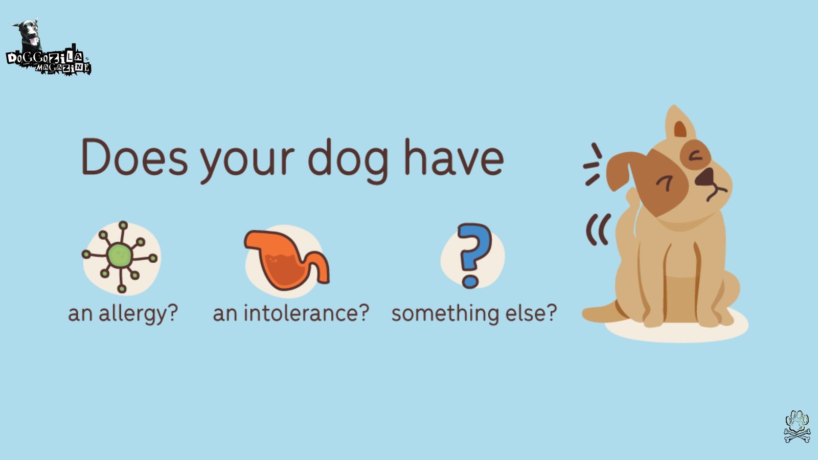 Does Your Dogs Have Food Allergies and Intolerances