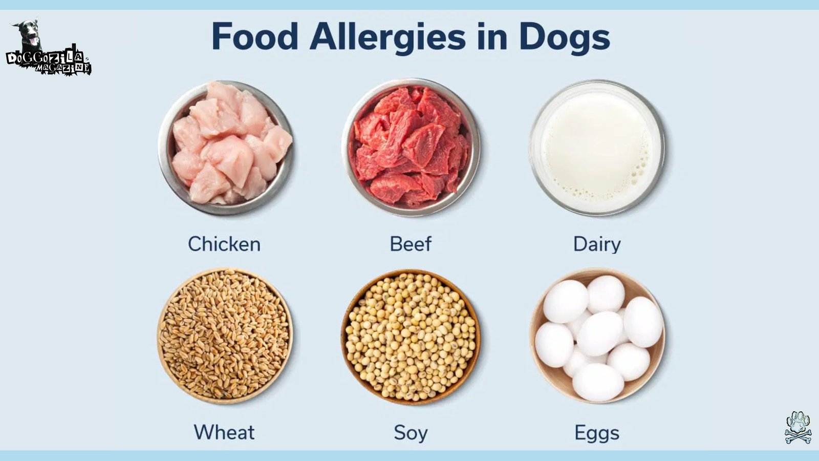 Food Allergies and Intolerances in Dogs