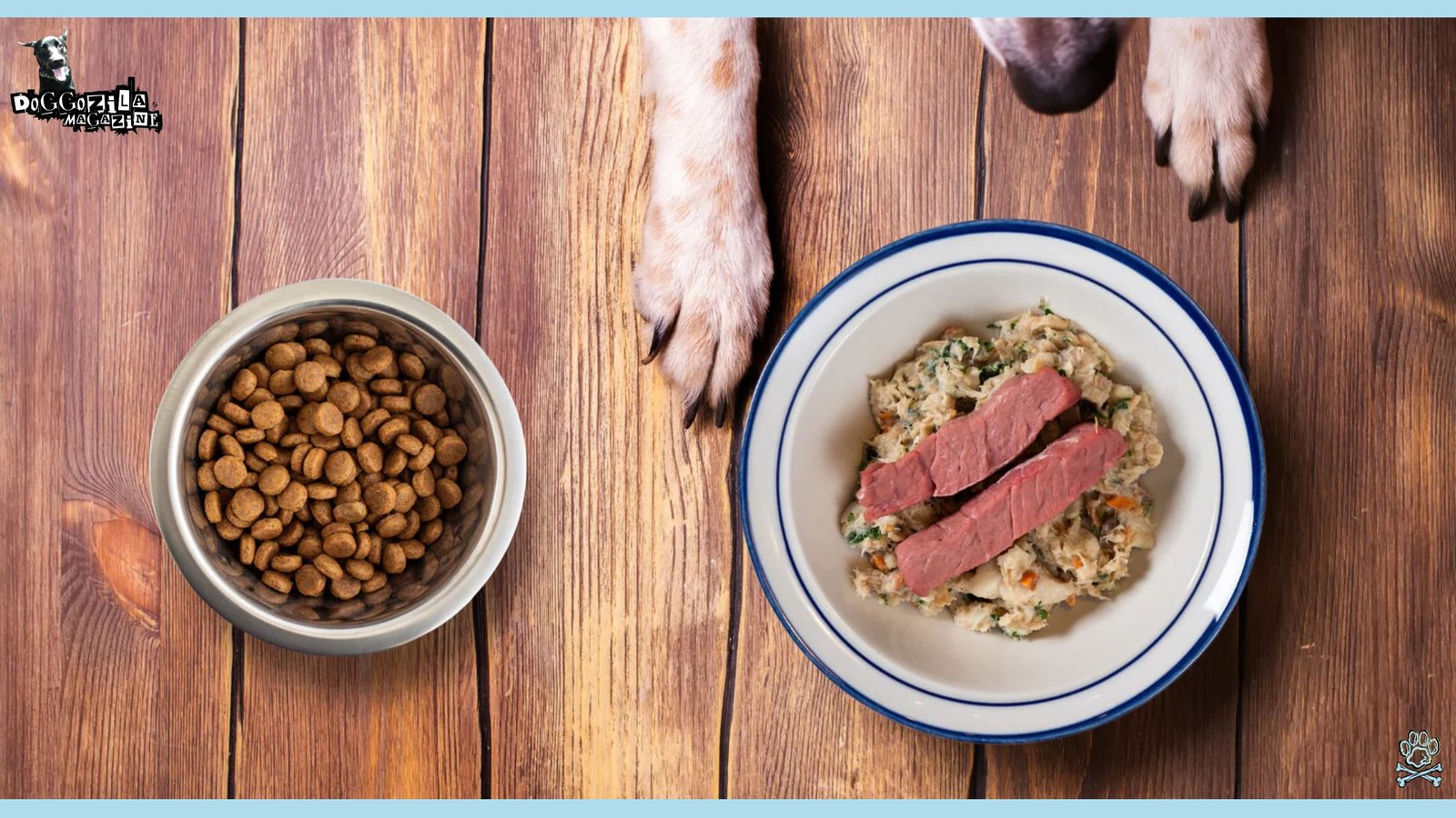 Food Allergies and Intolerances in Dogs