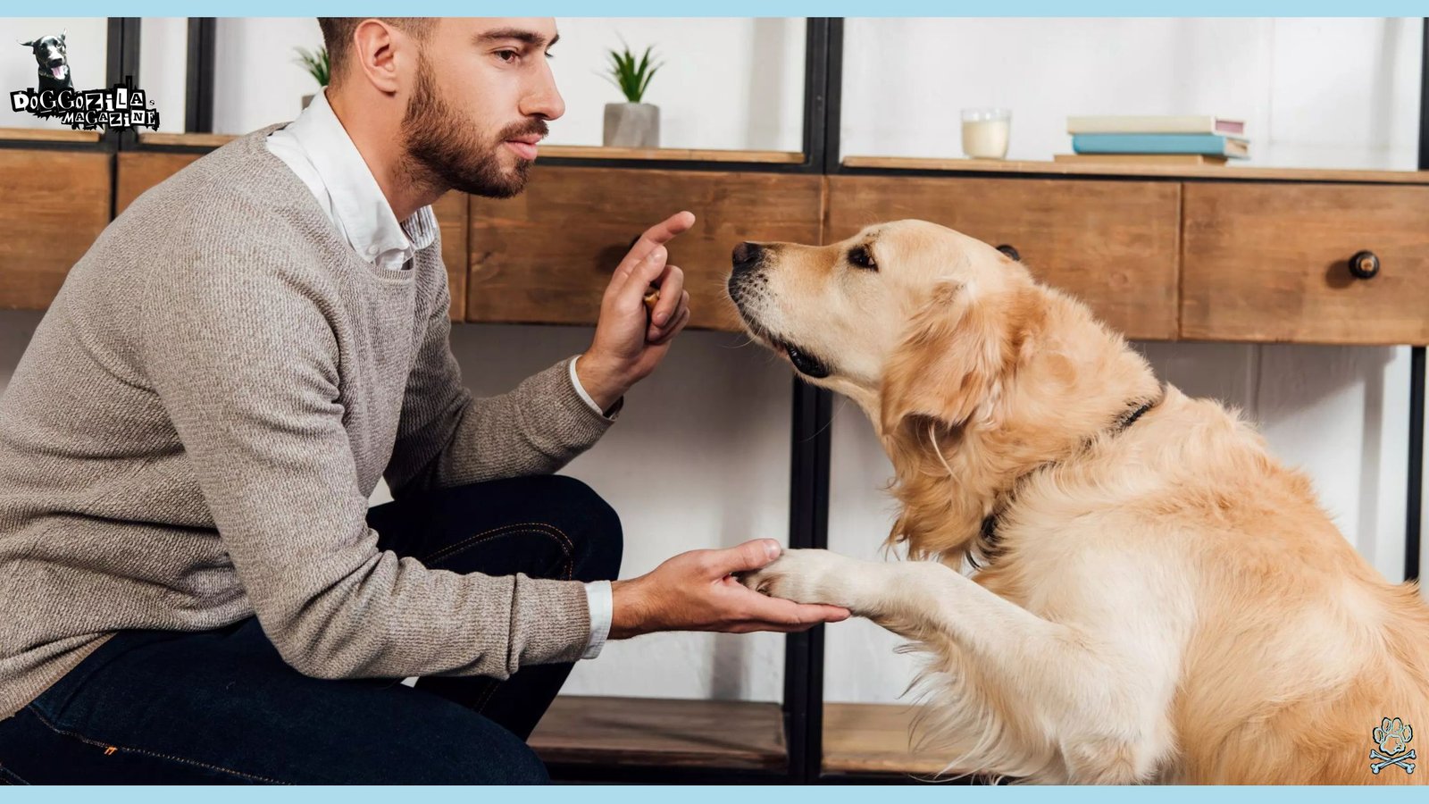 You can teach old dogs to a new tricks