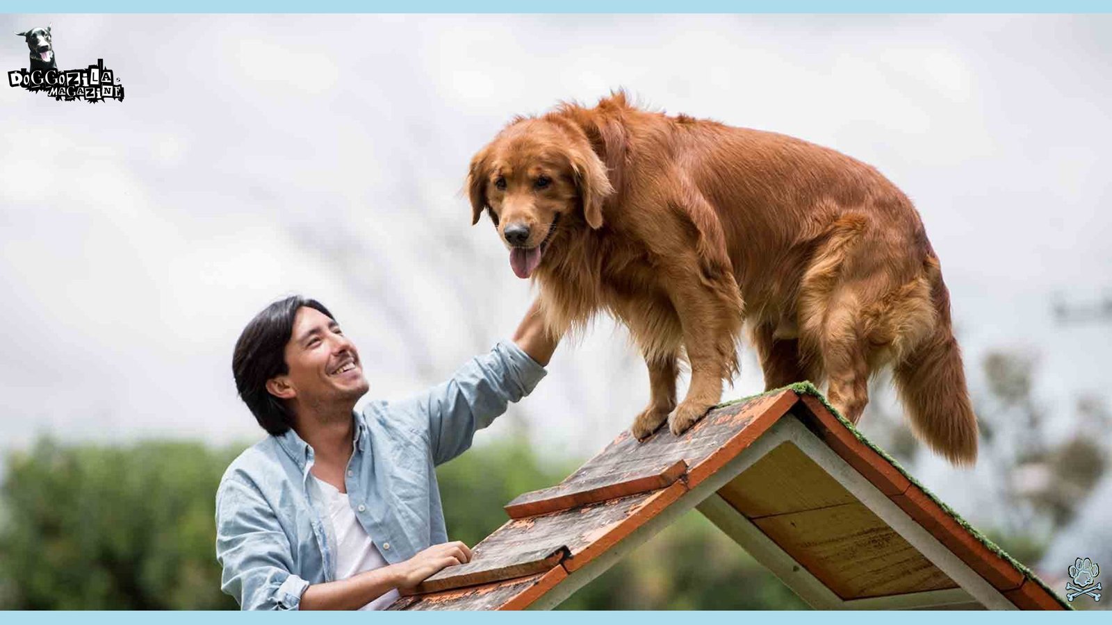 You can teach old dogs to a new tricks