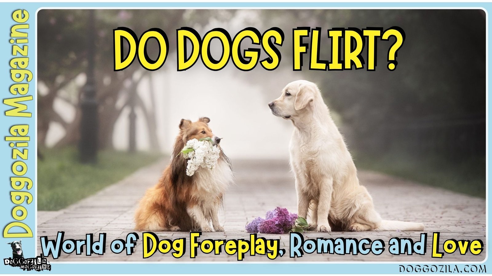 Do Dogs Flirt -Dog Foreplay
