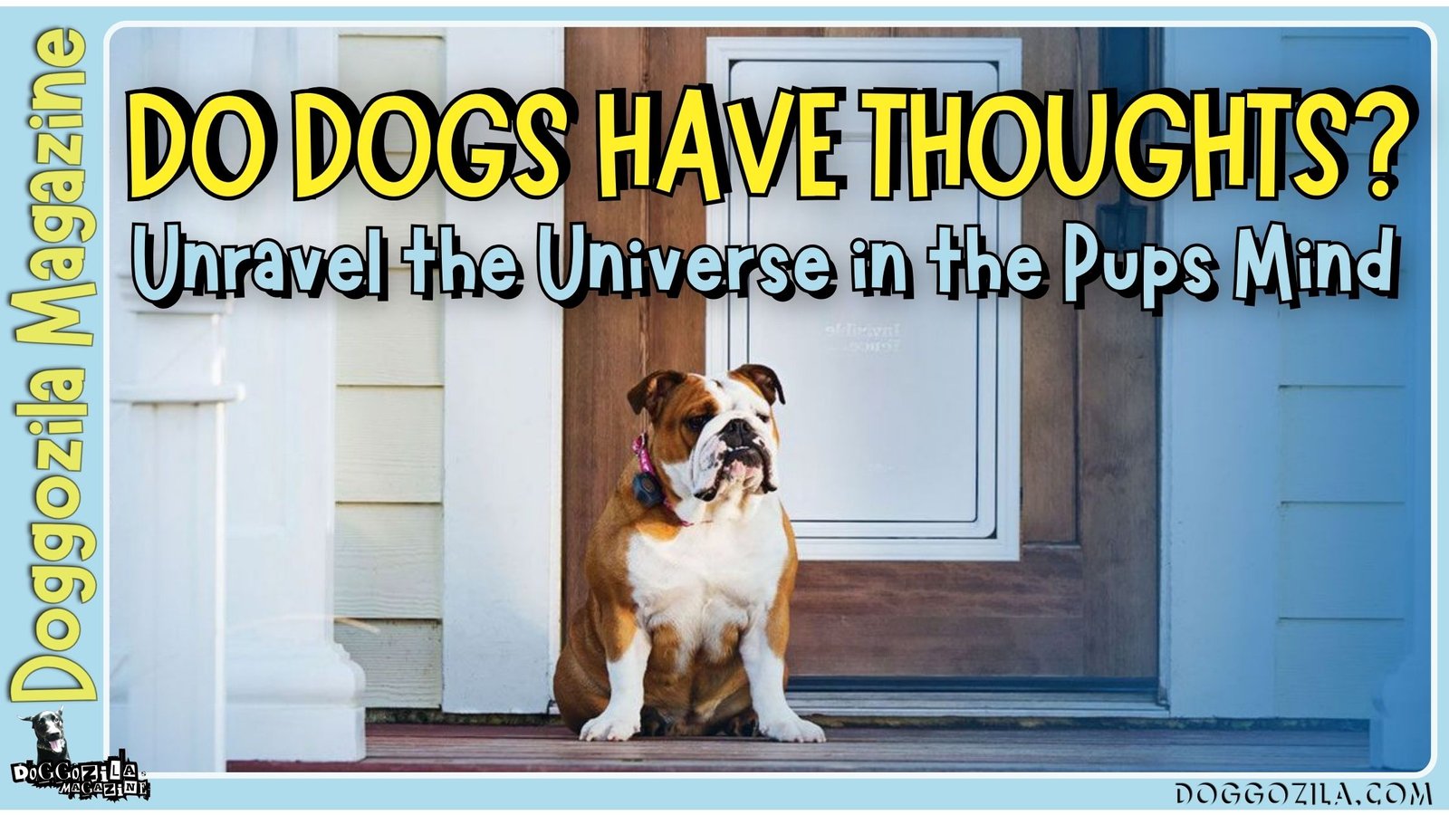 Do Dogs Have Thoughts