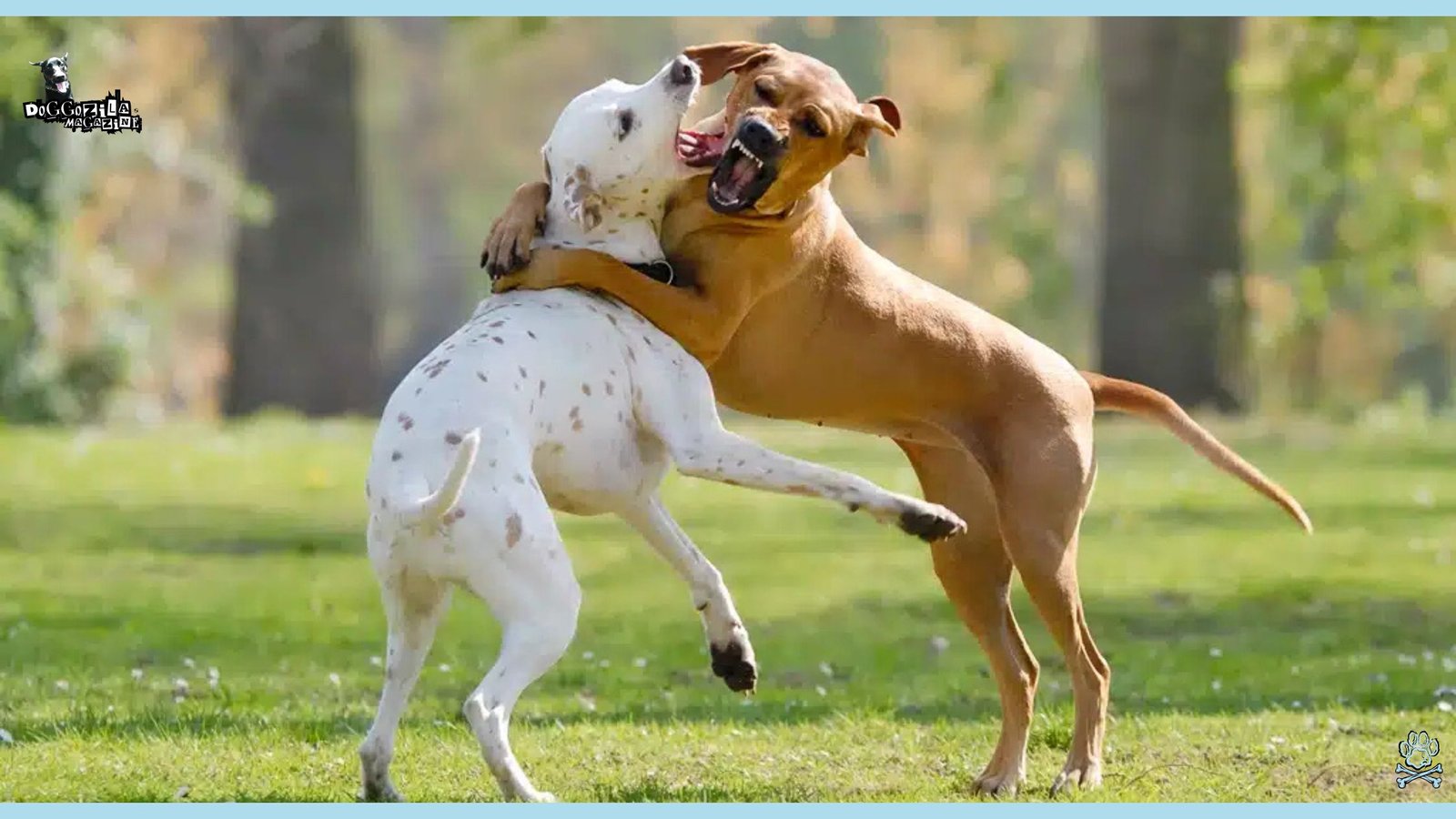 dog hugging another dog while they play in the park