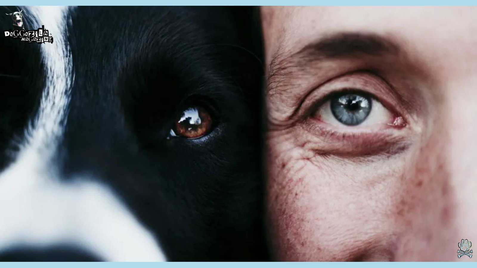 dog and his loyal companion