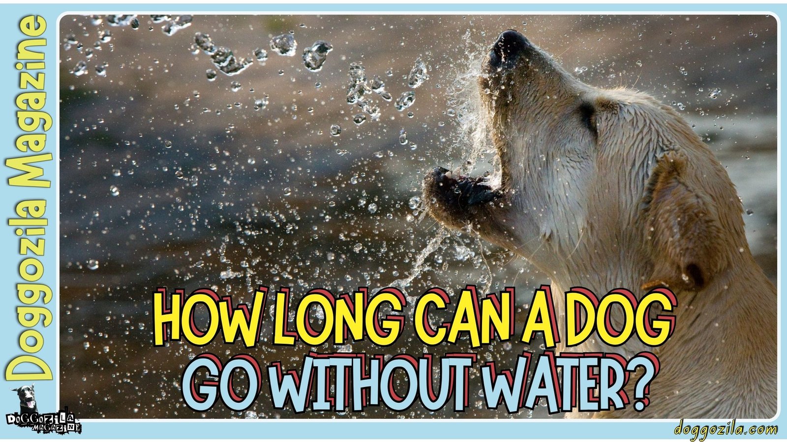 How Long Can a Dog Go Without Water