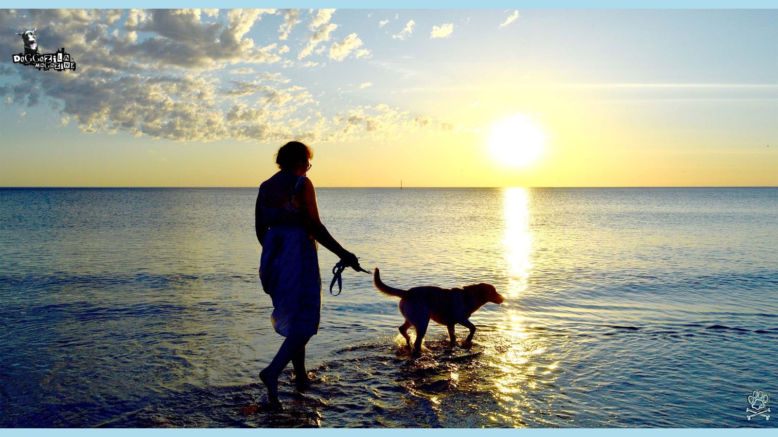 pup with his owner on a walk in the ocean