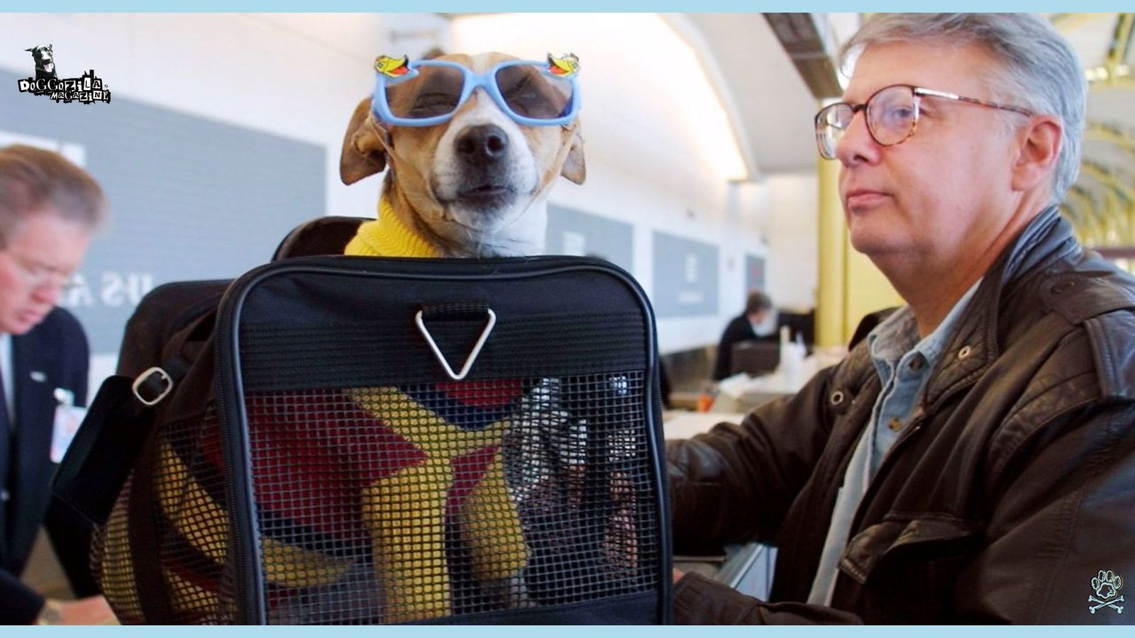 dog with glasses sitting in his crate