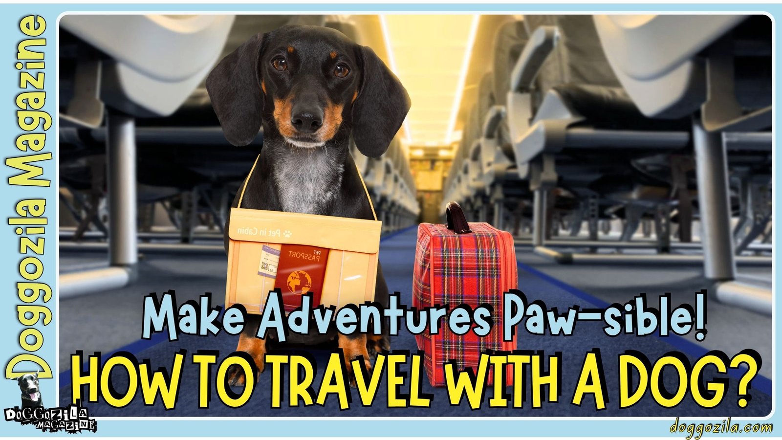 How To Travel with A Dog