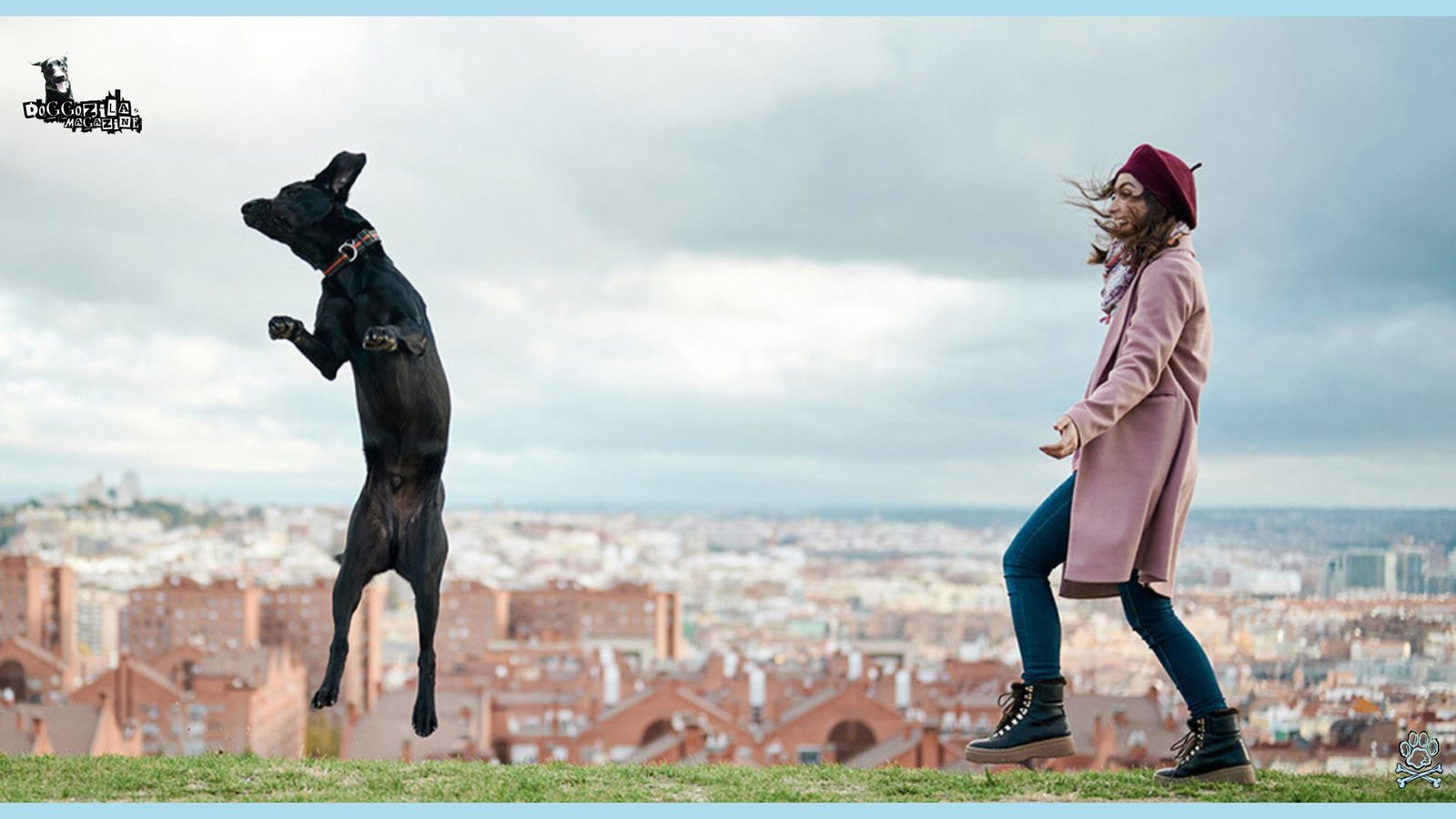 Dog play with his mom in the park