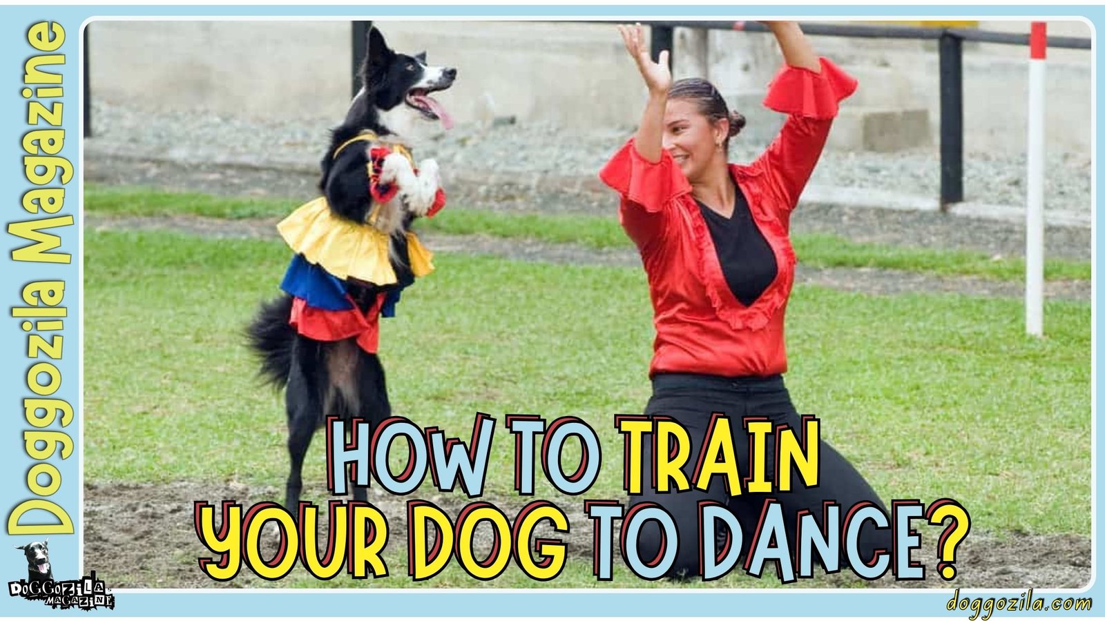 How to Train Your Dog to Dance: A Fun and Epic Adventure