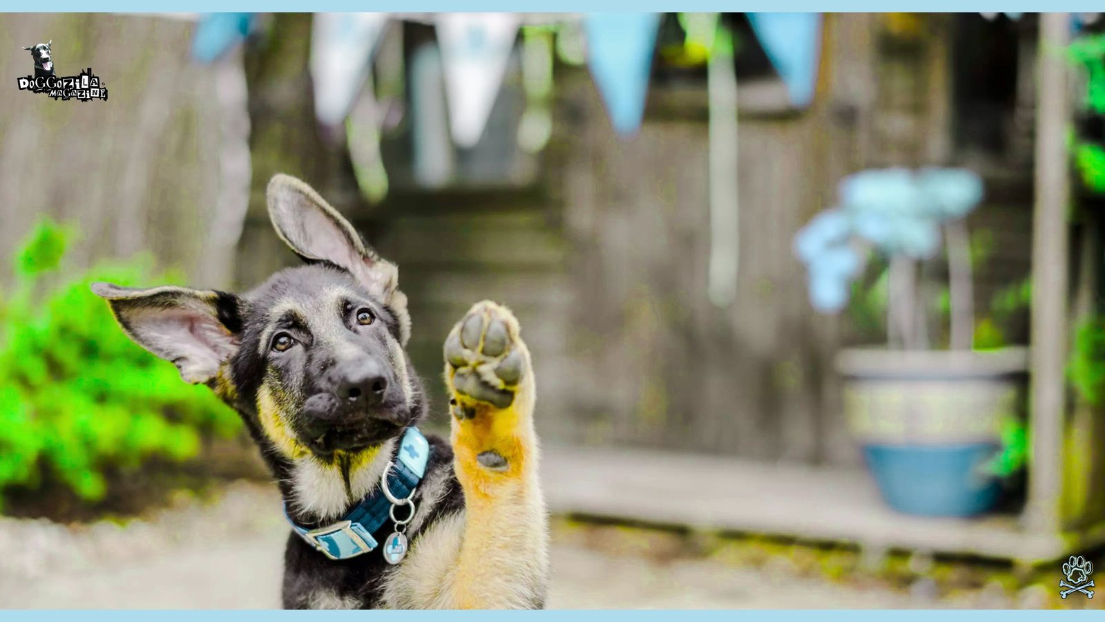 Happy Pup Saying Hey Hello There