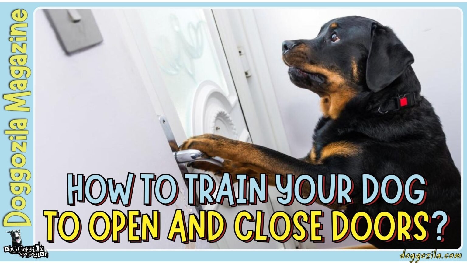 How to Train Your Dog to Open and Close Doors