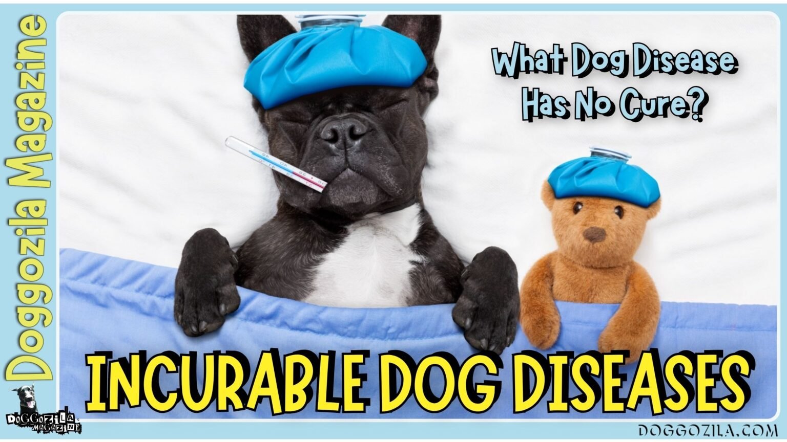Incurable Dog Diseases - What Dog Disease Has No Cure