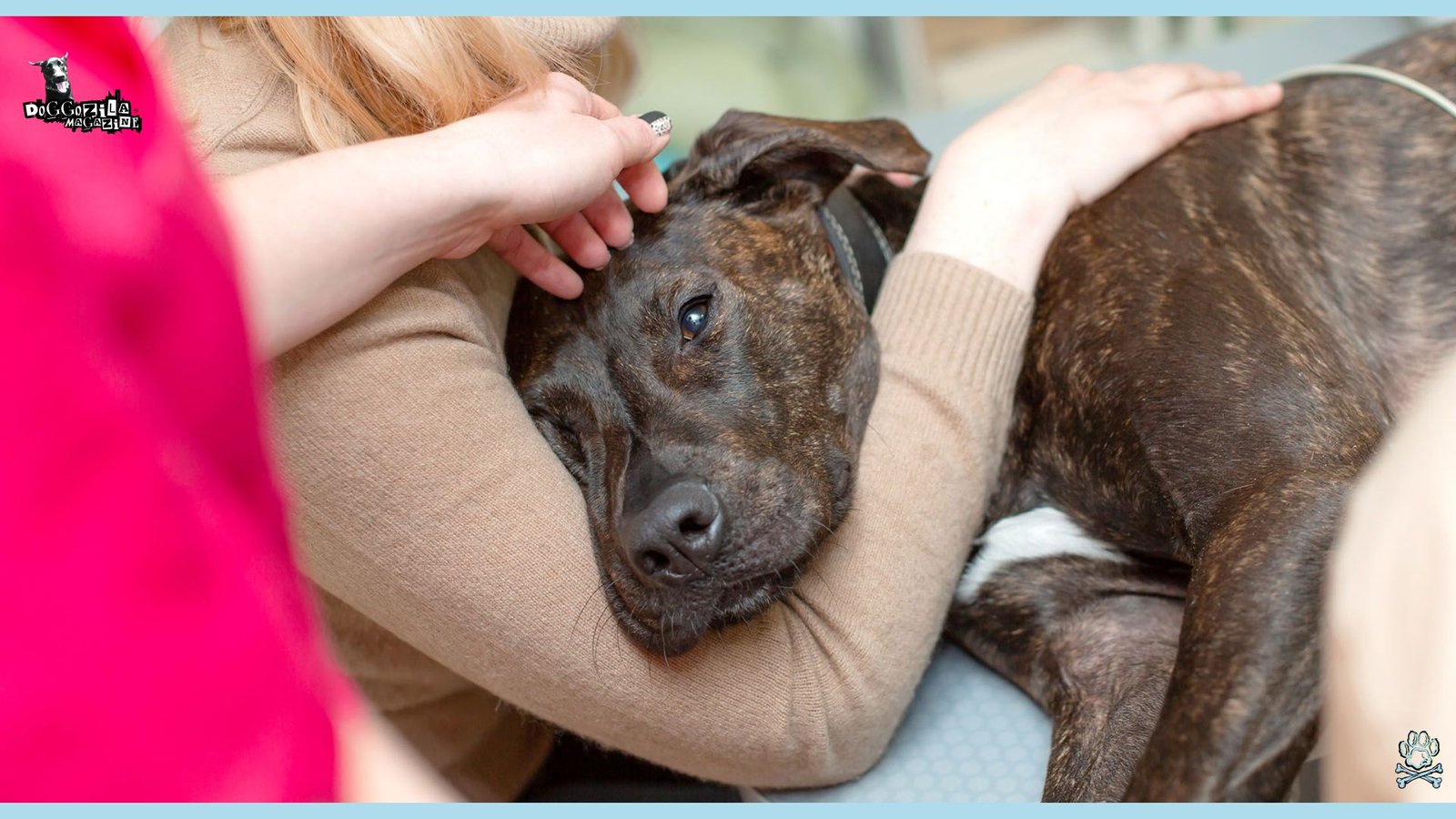 sad and sick dog saying goodbye