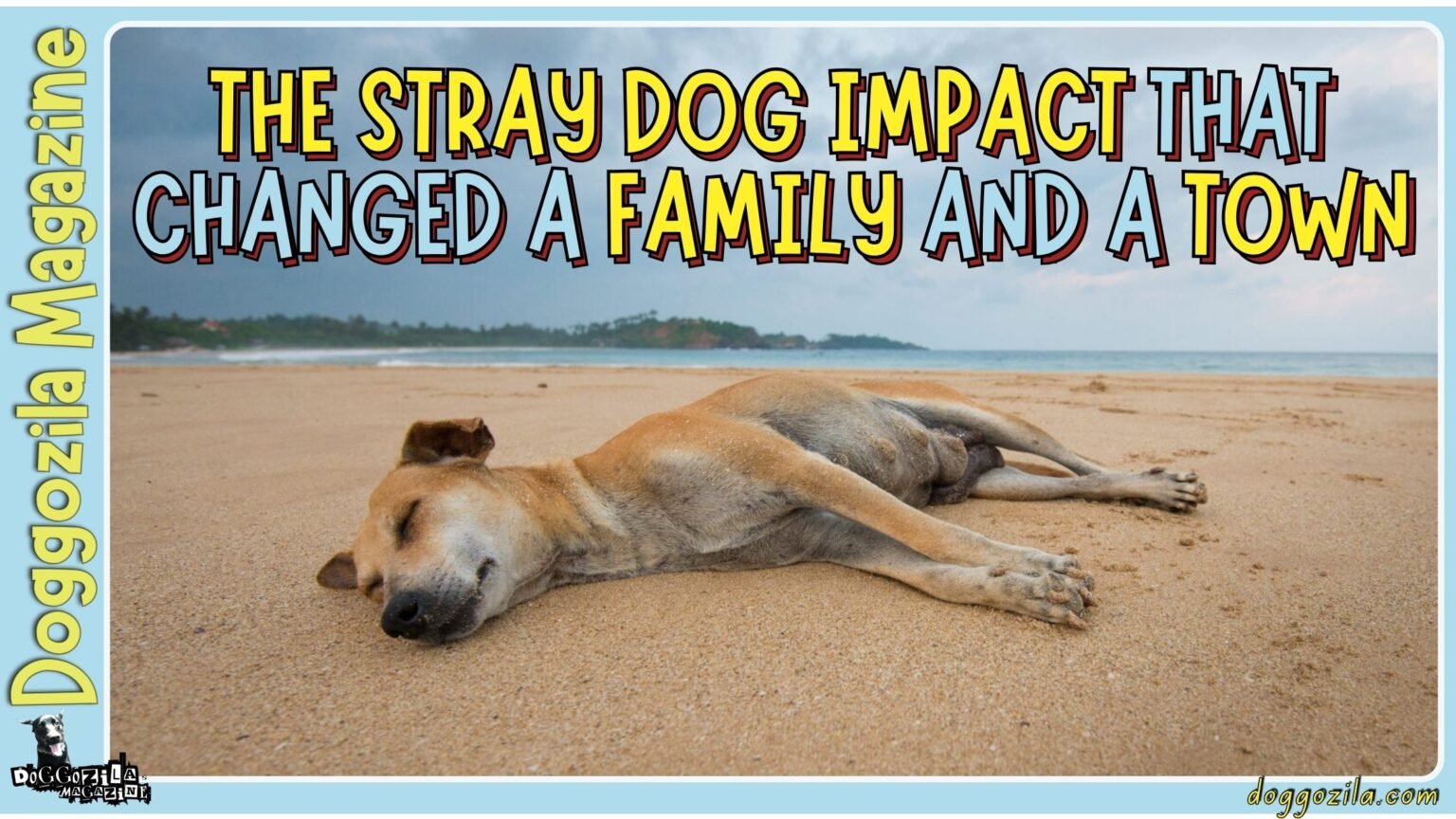 The Stray Dog Impact That Changed a Family and a Town