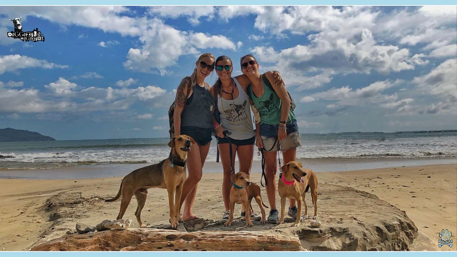adopted dogs with their new families