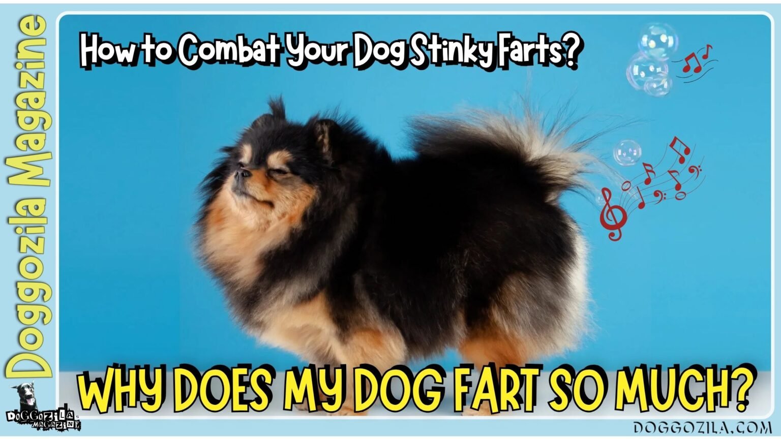 Why Does My Dog Fart So Much