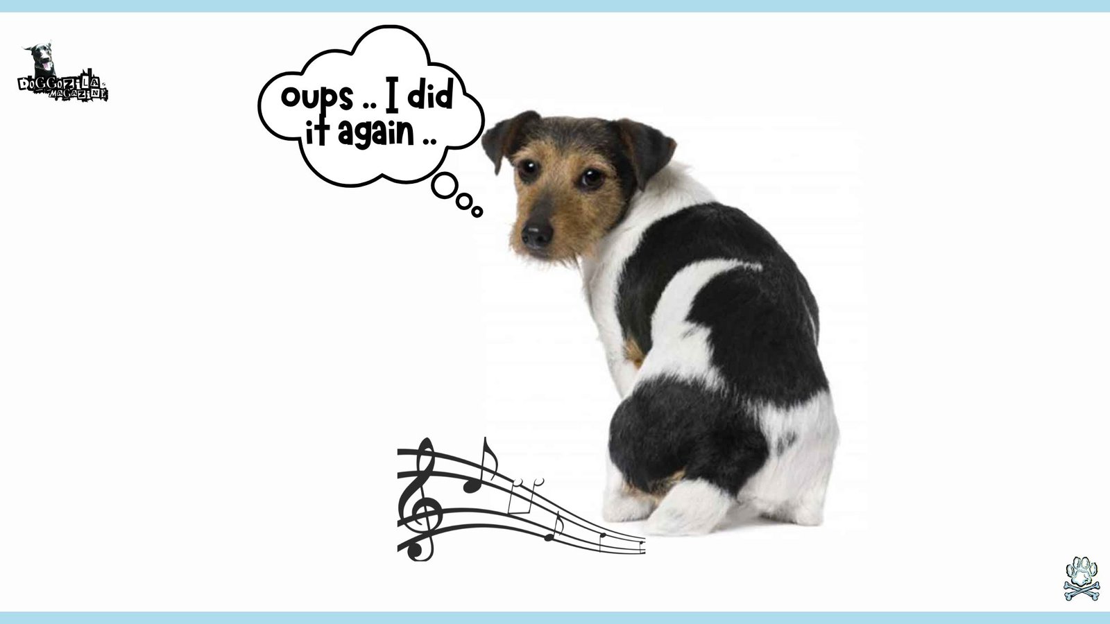 dog stinky farts