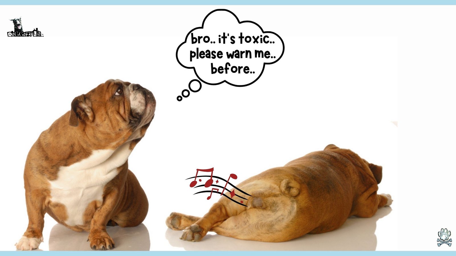 two silly dogs