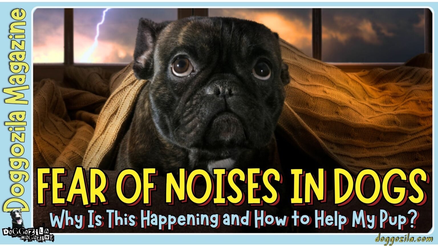 Fear of Noises in Dogs