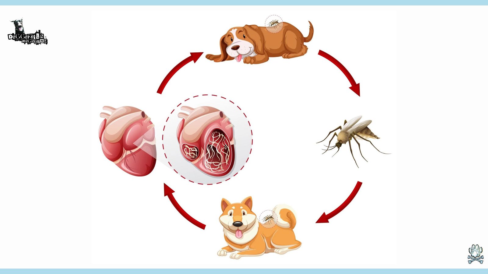 Heartworm Disease in Dogs