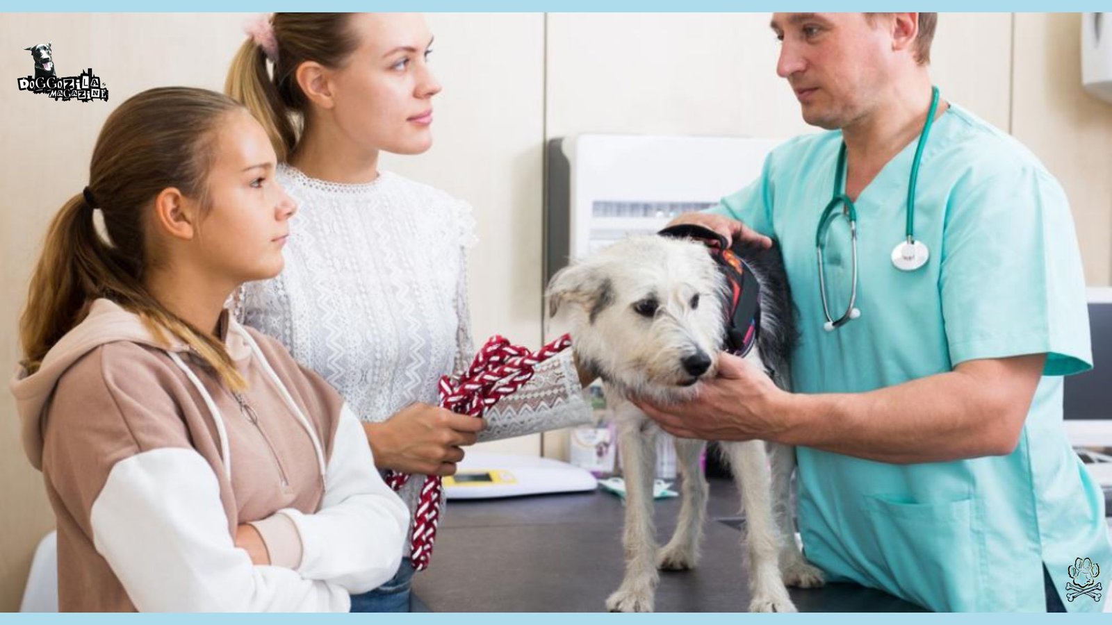sick dog at the vet getting the results