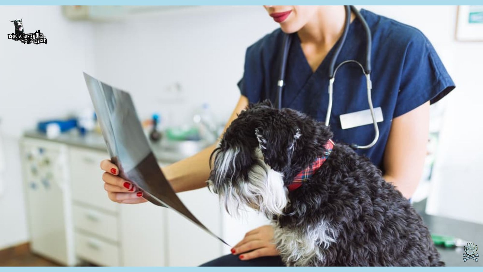Heartworm Disease in Dogs