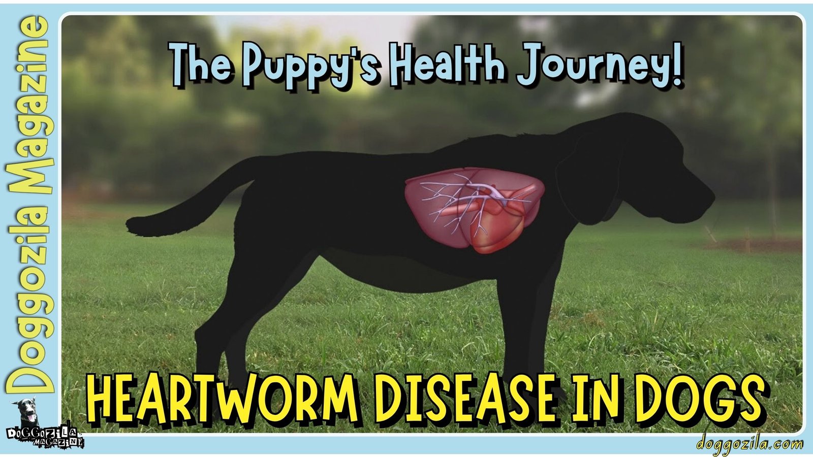 Heartworm Disease in Dogs