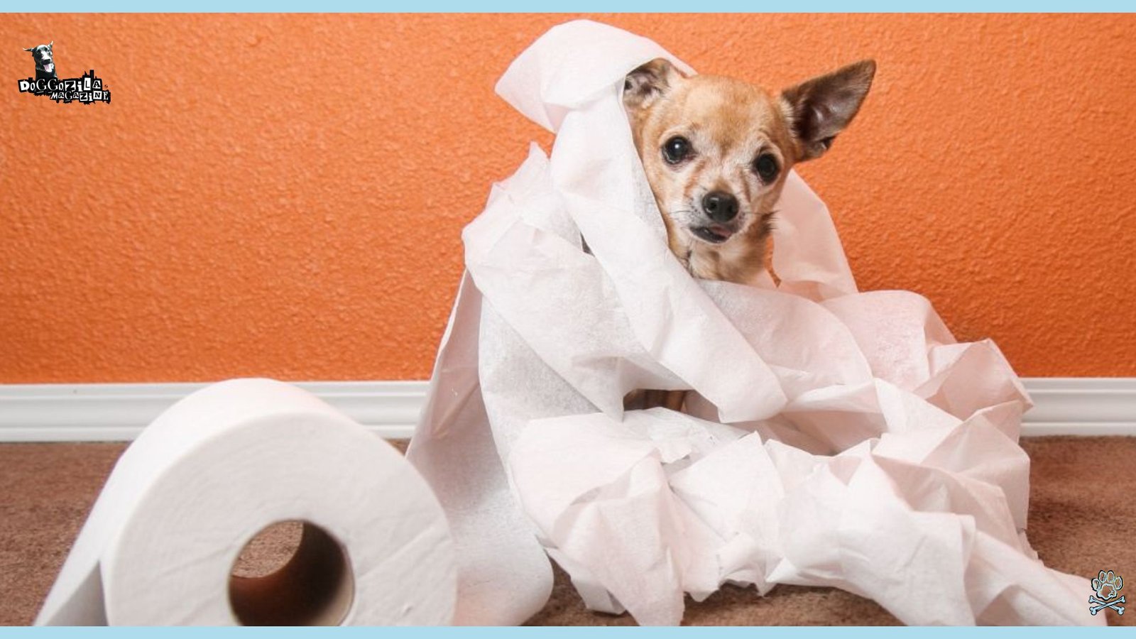 cute pup in toilet paper