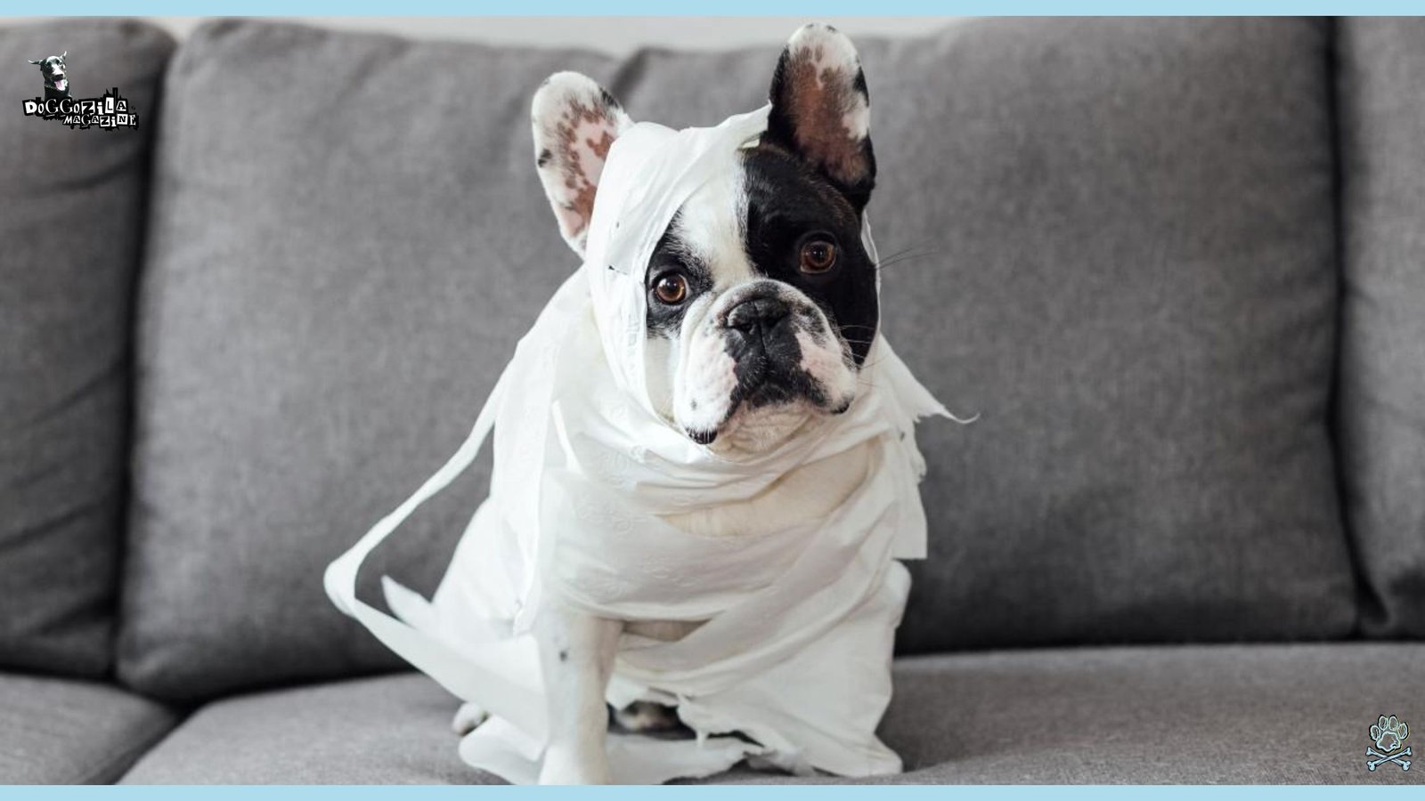 Guide to How Long Can Dogs Go Without Pooping