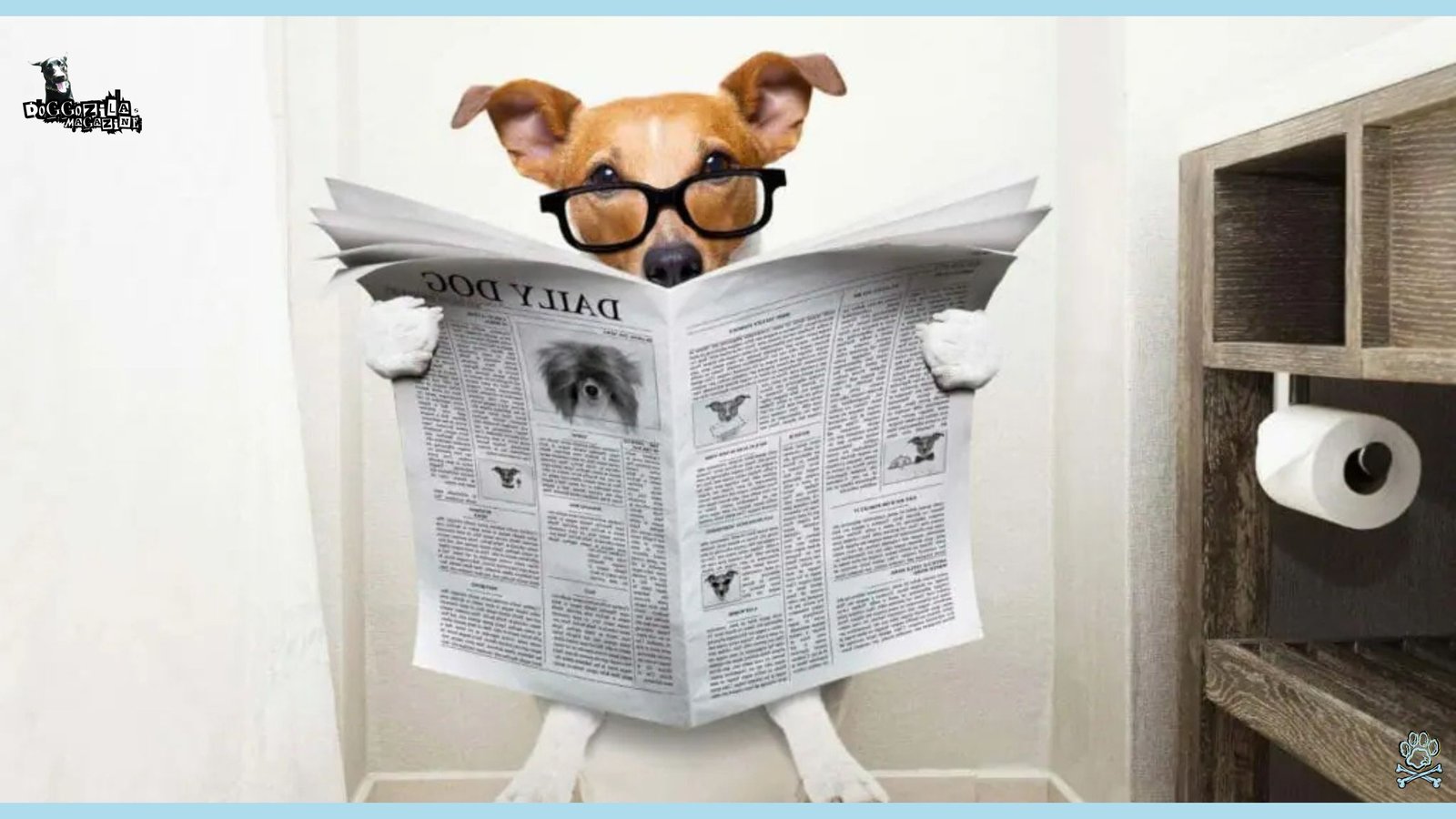 Guide to How Long Can Dogs Go Without Pooping