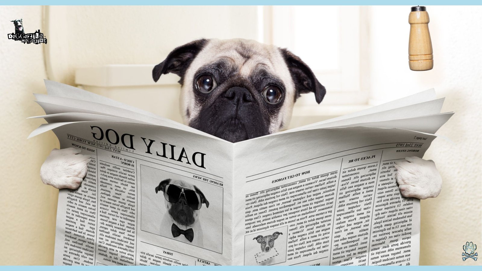 Guide to How Long Can Dogs Go Without Pooping
