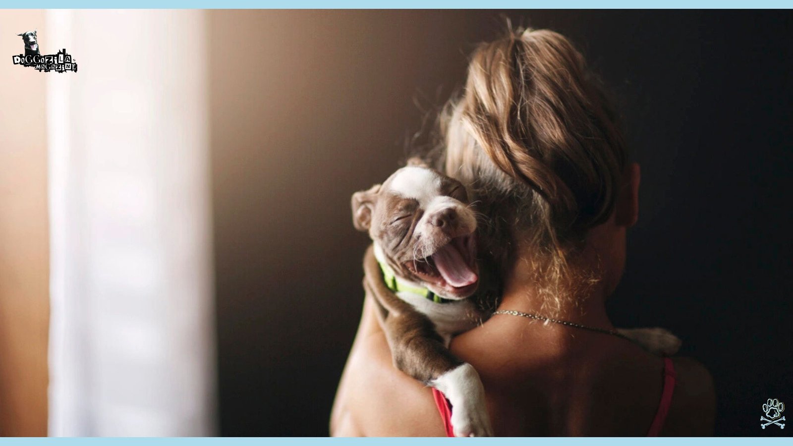 How To Boost Your Dog Health Naturally