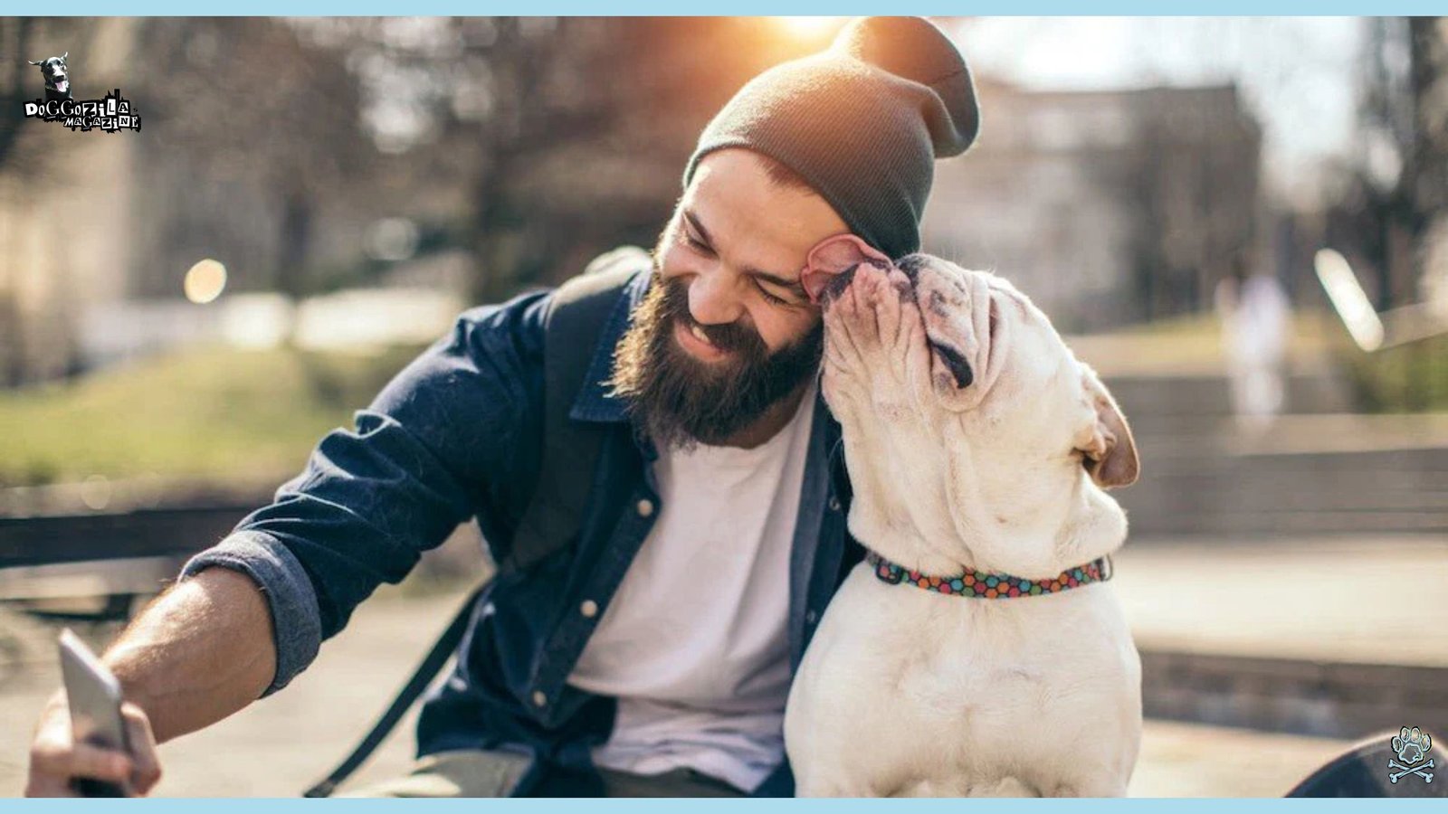 How To Boost Your Dog Health Naturally