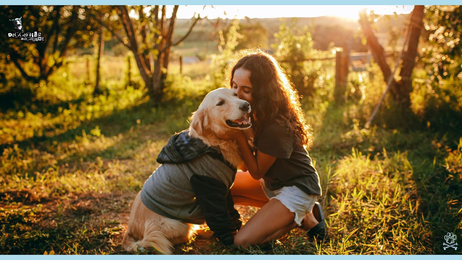 How To Boost Your Dog Health Naturally