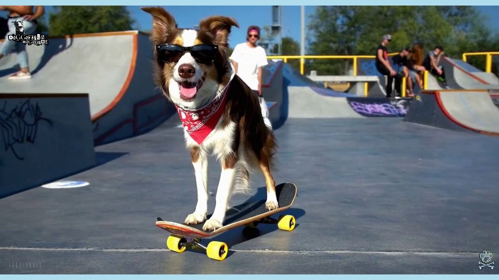 How to Teach Your Dog how to ride a Skateboard