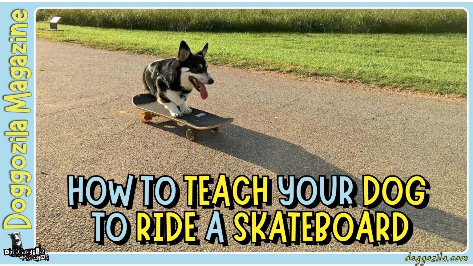 How to Teach Your Dog how to ride a Skateboard